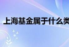 上海基金属于什么类型基金 什么是上海基金