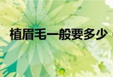 植眉毛一般要多少（植眉毛一般要多少钱）