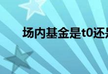 场内基金是t0还是t1 场内基金是t0吗