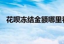 花呗冻结金额哪里看 花呗冻结金额哪里看