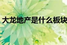 大龙地产是什么板块的股票（属于什么概念）