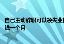 自己主动辞职可以领失业保险金吗 失业保险金每月领取多少钱一个月 