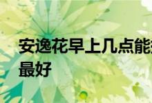 安逸花早上几点能提现 安逸花借钱几点提现最好
