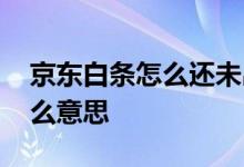 京东白条怎么还未出账 京东白条未出账是什么意思