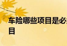 车险哪些项目是必须买的 车险一般都买啥项目