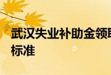 武汉失业补助金领取条件及标准2022 附发放标准 