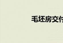  毛坯房交付标准是什么？ 