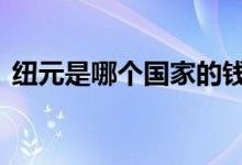 纽元是哪个国家的钱 纽元是哪个国家的货币