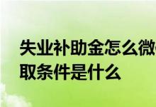失业补助金怎么微信领取 失业补助金微信领取条件是什么 