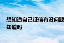想知道自己征信有没问题怎么查 请问如何查个人征信 有人知道吗