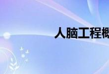 人脑工程概念股午后走强