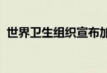 世界卫生组织宣布加纳暴发马尔堡病毒疫情