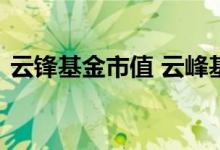 云锋基金市值 云峰基金持有哪些公司的股票
