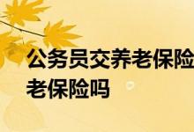 公务员交养老保险金是100%吗 公务员交养老保险吗