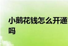 小鹅花钱怎么开通额度 小鹅花钱每月提额度吗