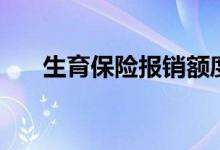 生育保险报销额度是多少 个人可以吗 