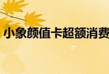 小象颜值卡超额消费什么意思（小象颜值卡）