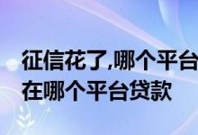 征信花了,哪个平台还可以贷款 征信花了还能在哪个平台贷款