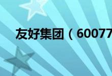 友好集团（600778）产品主营构成分析