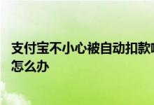 支付宝不小心被自动扣款啦怎么办 支付宝账户被自动扣款了怎么办