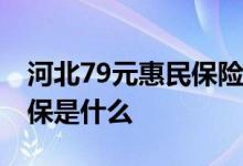 河北79元惠民保险保哪些大病 河北惠民健康保是什么