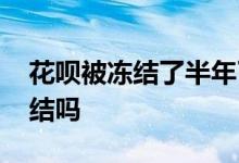 花呗被冻结了半年了 花呗冻结半年是永久冻结吗