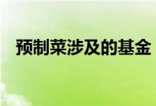 预制菜涉及的基金 有关于预制菜的基金吗