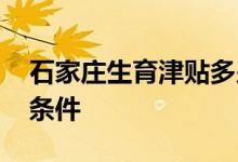 石家庄生育津贴多少钱 石家庄生育津贴领取条件 