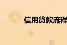 信用贷款流程（大学贷款流程）