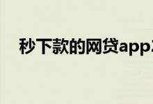 秒下款的网贷app2021（秒下款的网贷）