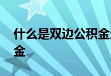 什么是双边公积金通俗解释 什么是双边公积金