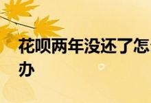 花呗两年没还了怎么办 花呗两年没还了怎么办