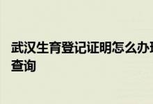 武汉生育登记证明怎么办理流程 武汉生育登记审核结果如何查询 