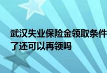 武汉失业保险金领取条件及标准2022 武汉失业保险金领过了还可以再领吗 