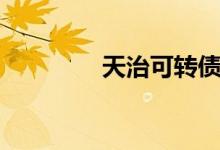 天治可转债C基金经理变动