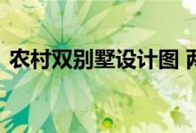  农村双别墅设计图 两兄弟盖房子的最佳选择 