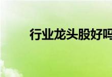 行业龙头股好吗 行业龙头股的标准