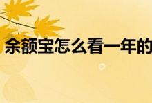 余额宝怎么看一年的明细（余额宝怎么使用）