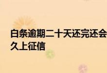 白条逾期二十天还完还会上征信吗 2021年京东白条逾期多久上征信
