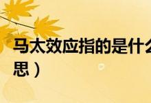 马太效应指的是什么意思（马太效应是什么意思）