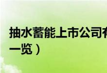 抽水蓄能上市公司有哪些（相关上市公司龙头一览）