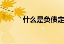 什么是负债定义（什么是负债）