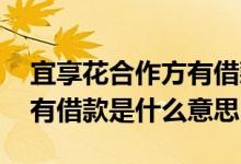 宜享花合作方有借款怎么解决 宜享花合作方有借款是什么意思