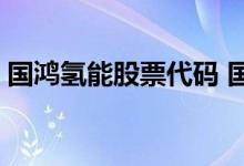 国鸿氢能股票代码 国鸿氢能股票代码是什么 