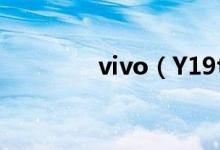vivo（Y19t价格是多少钱）
