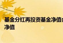 基金分红再投资基金净值会变化么 基金分红再投资按照哪个净值