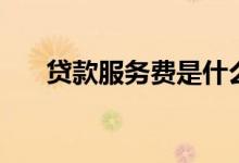 贷款服务费是什么意思（贷款服务费）