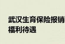 武汉生育保险报销额度 武汉生育保险有哪些福利待遇 