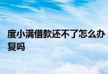 度小满借款还不了怎么办 度小满暂时无法提供借款还可以恢复吗