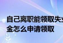 自己离职能领取失业补助金吗 2022失业补助金怎么申请领取 